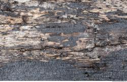 Photo Textures of Wood